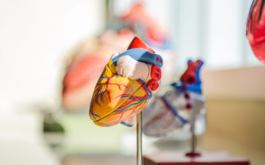 New Approaches to Cardioplegia: Alternatives to Hyperkalemia