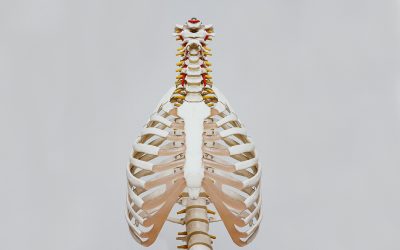 Early experience with the minimally invasive Abramson procedure for the treatment of Pectus Carinatum