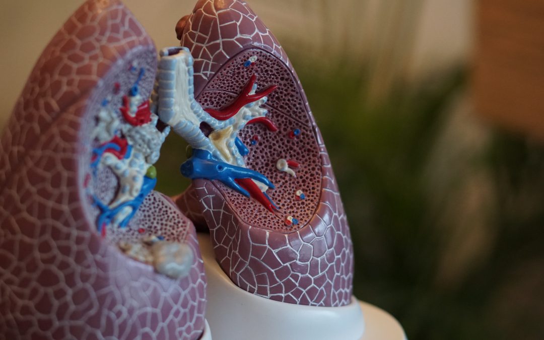 Ischemic Preconditioning and Lung Preservation